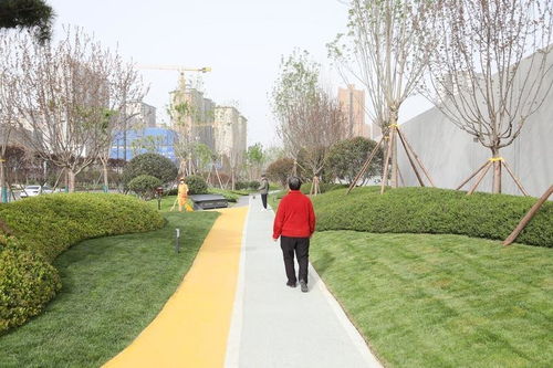 一、啥是广东绿化发布网站？