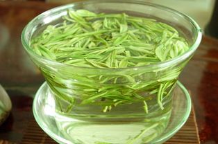 安吉白茶种植与农药化肥的关系探讨