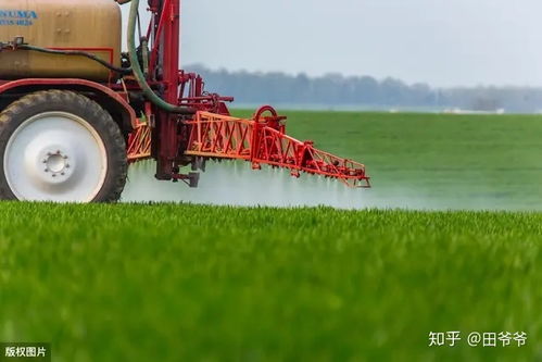 避免农药残留，学问可不少