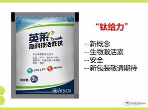 深夜急诊室警报响起时