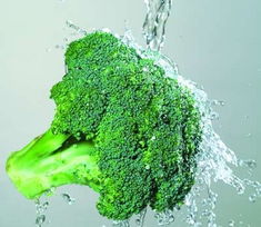 品种差异导致的农药敏感度