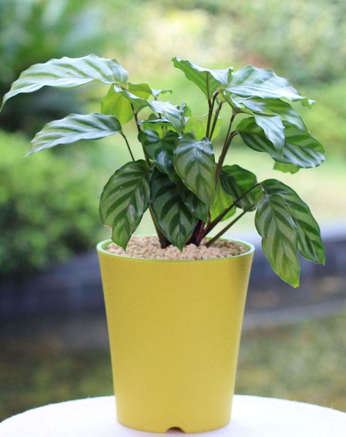 耐心等待，慢慢恢复