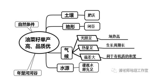 农业灌溉：掌握地理水圈与水循环，提升作物产量！