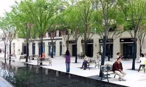 树阵景观植物配置要点全揭秘