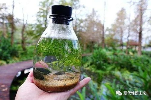 争议多多的草甘膦