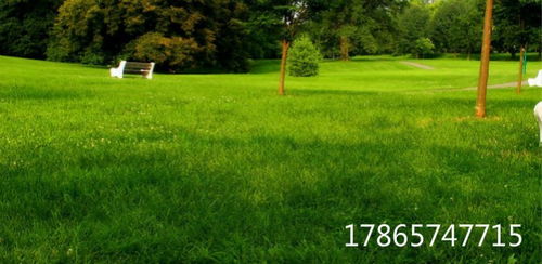 草籽播种，春季还是秋季好？