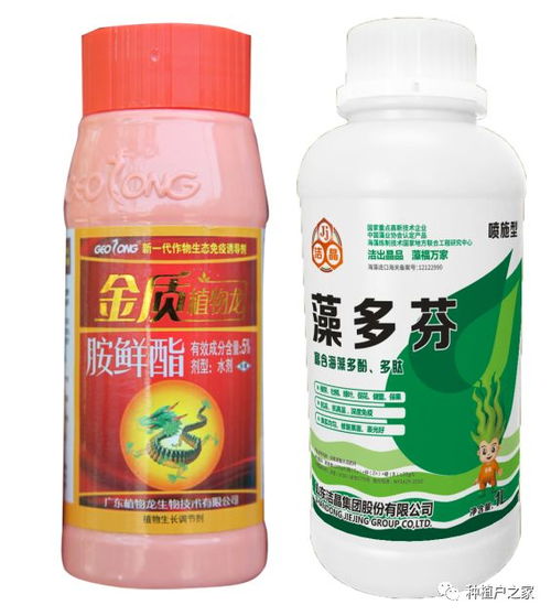 防病成本每亩在50元内，而相对设施果树收益微乎其微。流胶病从发病原因上kan主要分为生理性流胶和侵染性流胶两种。传统的化学药剂对株体树皮...