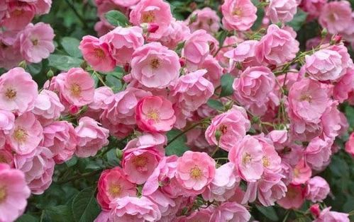 知识产权保护：保驾护航