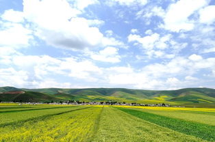 草木之间，心灵归处