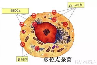 代森锰锌：一种独特的有机硫杀菌剂