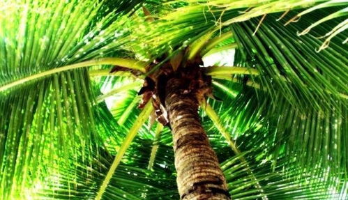 解决方法与成本考量