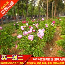 话术魔法：私信时别说「多少钱」， 要问「基地在哪个区」