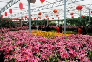 郑州绿博园的物联网系统应用