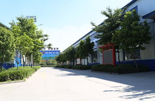 厂区绿化，别跟山林种植比