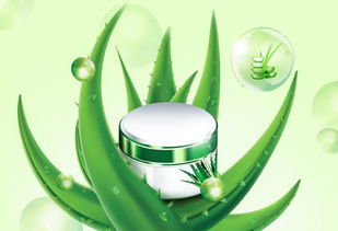 芦荟的修剪技巧