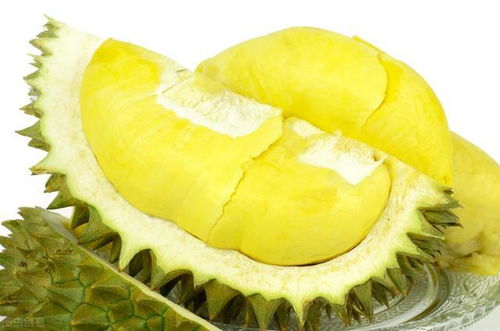 榴莲是热性还是凉性？一篇文章揭秘榴莲的属性之谜