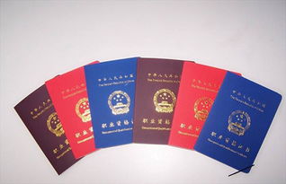 涉及学科：园艺、 环境艺术、城市规划等