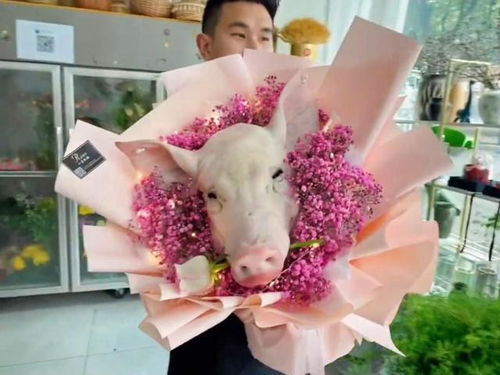 特殊场合送花，选花有讲究哦！