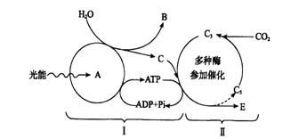 光触媒涂一涂， 甲醛分解不费力