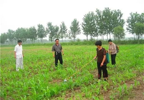 盖草Neng的使用方法