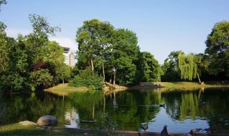 第一步：现状分析与资源评估