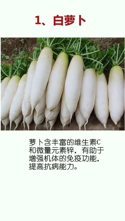 魔芋通便排毒，你确定不试试