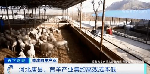 江苏南通严整生猪屠宰，关停18家问题场所