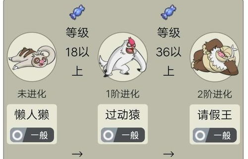 乌龟是否真的具有灵性，一直是人们津津乐道的话题
