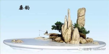 植物布局， 和谐之美