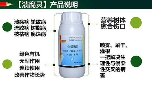 百草枯：除草神器，银杏树怕不怕？