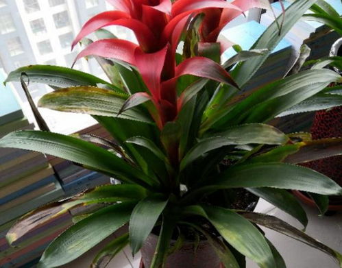 价格就像天气， 说变就变