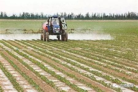 甲维盐：棉农的救星还是救世主？