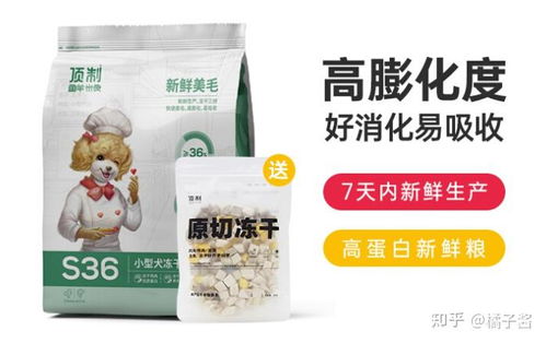 相机选购攻略：性价比之选