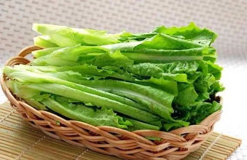 油麦菜：清脆可口，营养多多