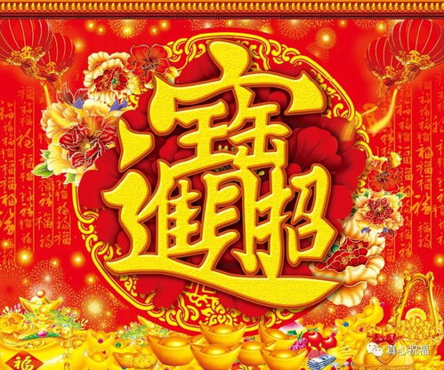 财运亨通，富贵花开，招财进宝花语揭秘！