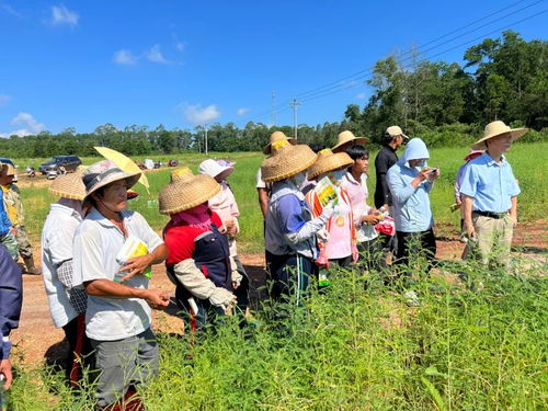01. 选择对病虫害具有较高抗性的植物品种