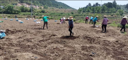 前往黄土岗花卉市场的交通方式