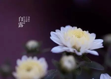 白露秋分夜，一夜凉一夜