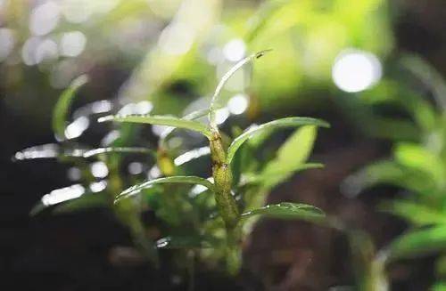 实测数据吓人：