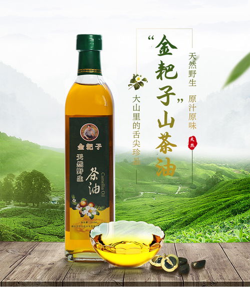 广西三江林龙生茶油：品质之选，健康之源