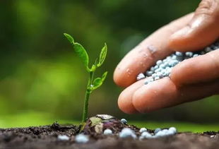 萌芽期（3-4月）