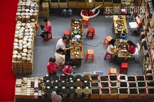 珍香世家茶叶价格一览：波兰市场最新动态！