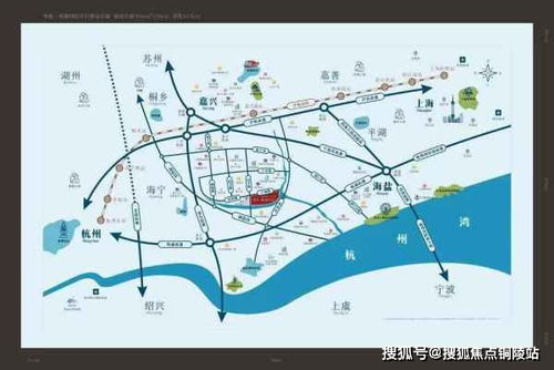 南雀梅与北雀梅：区别解析及其价值对比