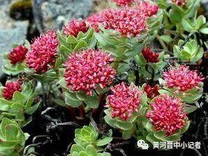 气虚体弱，病后畏寒