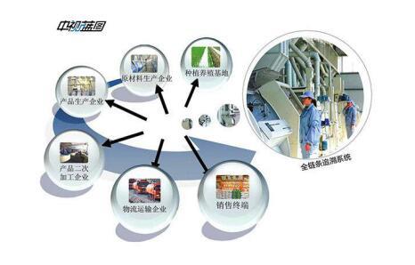 农药生产全过程管理的必要性