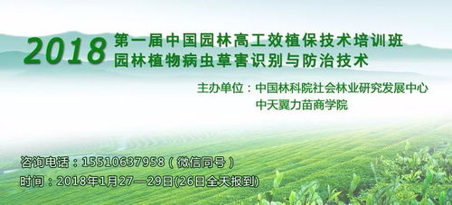 4. 传承文化， 铭记历史