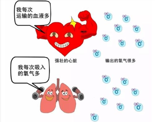 如何通过增强免疫功Neng有效降低家禽内毒素危害