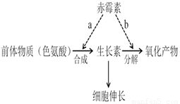 作用原理，揭秘！
