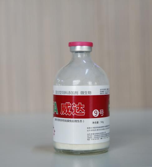 探讨蛋雏鸡免疫，利高霉素应用必要性
