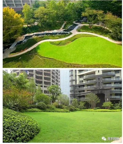 园林画卷中的诗与美